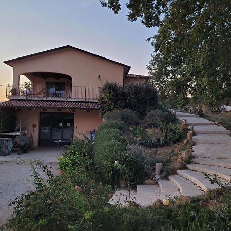 Гостьовий будинок La Residenza Di Campagna Манчіано Екстер'єр фото
