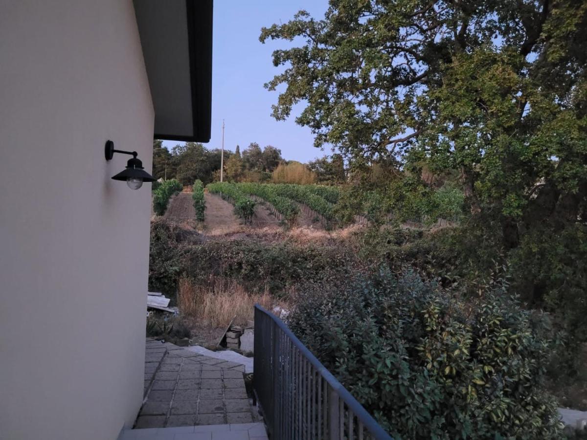 Гостьовий будинок La Residenza Di Campagna Манчіано Екстер'єр фото