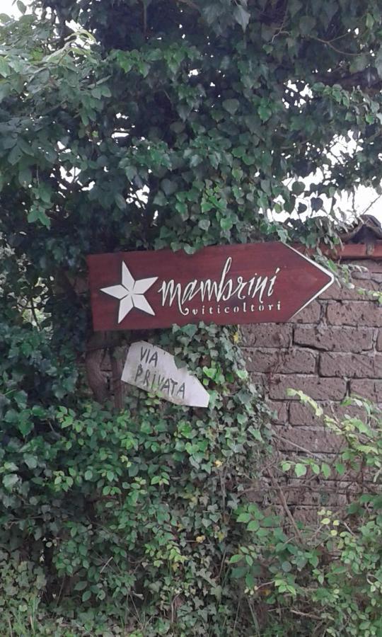 Гостьовий будинок La Residenza Di Campagna Манчіано Екстер'єр фото