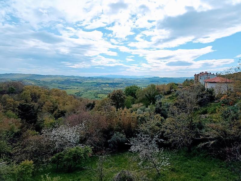 Гостьовий будинок La Residenza Di Campagna Манчіано Екстер'єр фото